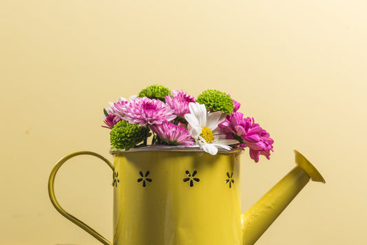 Yellow watering can with decorative flower cutouts filled with pink and white daisies and green chrysanthemums