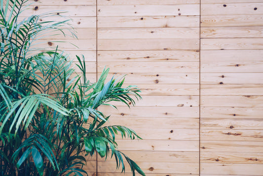 Natural wooden outdoor slats with green palm plant foliage in corner, light wood texture with knots visible