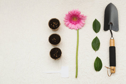 Black gardening hand trowel with wooden handle displayed with pink gerbera flower, soil pots, and green leaves on white background.